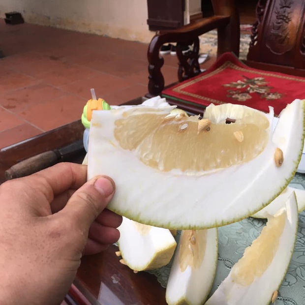 Đến nhà bạn chơi, cô nàng trổ tài bổ bưởi như… bổ dưa và bị đuổi về ngay lập tức: Thiếu kiến thức trầm trọng chứ chẳng đùa! - Ảnh 4. Đến nhà bạn chơi, cô nàng trổ tài bổ bưởi như… bổ dưa và bị đuổi về ngay lập tức: Thiếu kiến thức trầm trọng chứ chẳng đùa! - Ảnh 4.