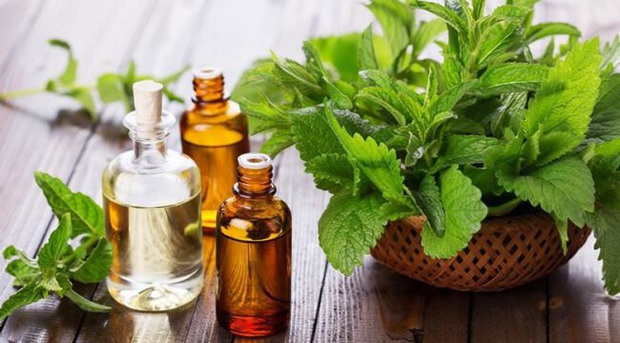 Ngoài chế độ ăn uống và tập luyện hợp lý, có 5 loại tinh dầu bạn cũng nên sử dụng để giảm cân nhanh và an toàn - Ảnh 2. Ngoài chế độ ăn uống và tập luyện hợp lý, có 5 loại tinh dầu bạn cũng nên sử dụng để giảm cân nhanh và an toàn - Ảnh 2.