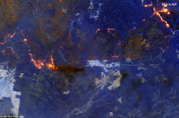 Đại thảm họa cháy rừng Úc nhìn từ không gian: Cả nước như quả cầu lửa, những mảng xanh trù phú bị thay bằng màu khói trắng tang thương - Ảnh 4.