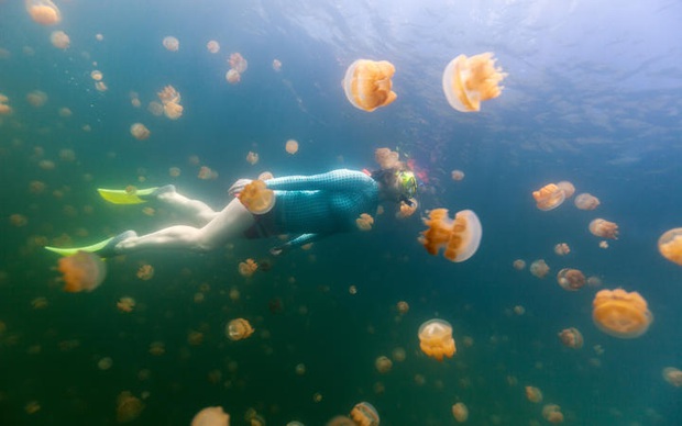 Quốc gia đầu tiên ban hành lệnh cấm… kem chống nắng, lý do đằng sau khiến ai nghe cũng gật gù tán thành - Ảnh 2.