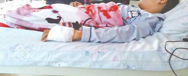 Tiết kiệm hơn 1 triệu đồng từ tiền tiêu vặt, cậu bé giấu mẹ mua vật nuôi trên mạng rồi nhập viện khẩn cấp suýt mất mạng - Ảnh 2.