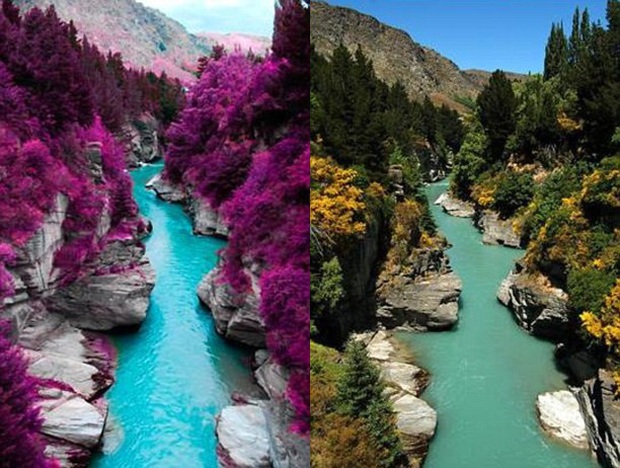 Sự thật phía sau những bức ảnh từng gây chấn động toàn thế giới: Rắn 7 đầu và mực khổng lồ nặng gần 2 tạ liệu có tồn tại trên đời? - Ảnh 6.