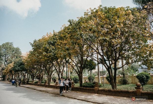 Những góc phố đậm chất Hàn Quốc ngay giữa lòng Hà Nội, lên ảnh mang vibe trong trẻo đến ngẩn ngơ - Ảnh 8. Những góc phố đậm chất Hàn Quốc ngay giữa lòng Hà Nội, lên ảnh mang vibe trong trẻo đến ngẩn ngơ - Ảnh 8.
