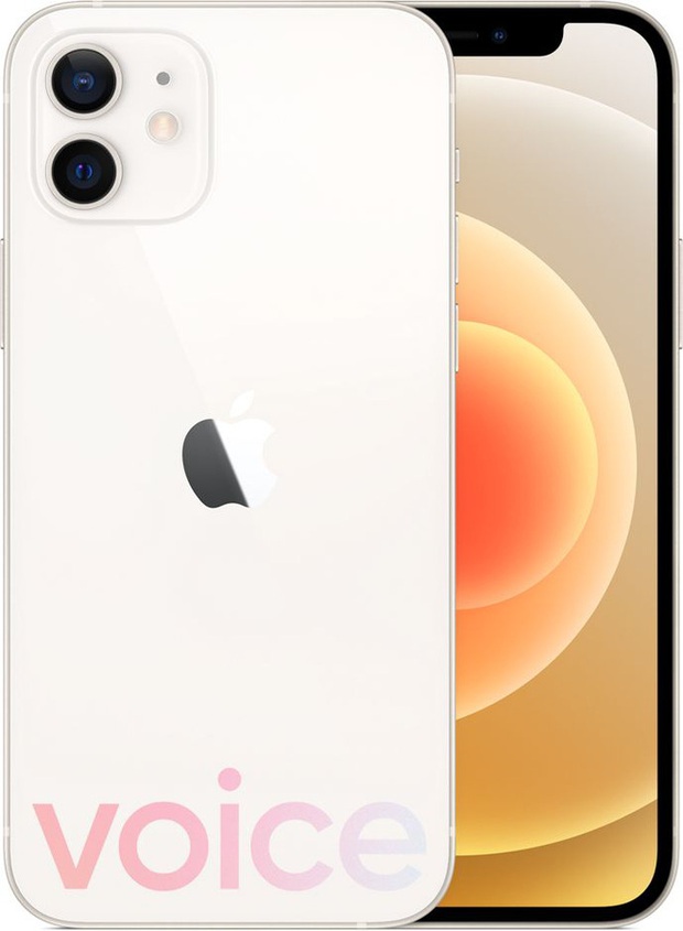 iPhone 12 bất ngờ rò rỉ đầy đủ màu sắc ngay trước giờ G - Ảnh 8.