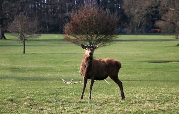 Khi những tay máy nghiệp dư rủ nhau đi chụp ảnh động vật và loạt ảnh xấu để đời đủ khiến dân mạng cười đến mấy ngày - Ảnh 11.