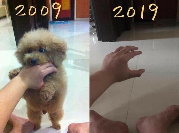Những bức hình chứng minh thời gian cứ trôi vèo vèo, bào mòn mọi thứ và chẳng chờ đợi ai - Ảnh 18. Những bức hình chứng minh thời gian cứ trôi vèo vèo, bào mòn mọi thứ và chẳng chờ đợi ai - Ảnh 18.
