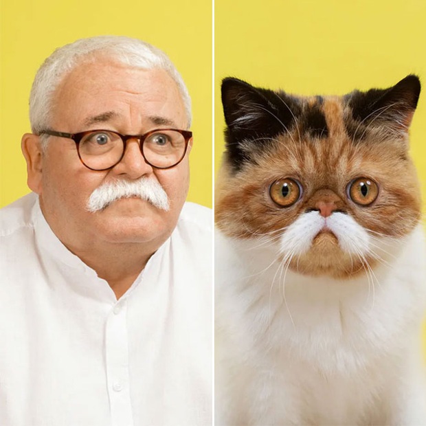 Bộ ảnh chứng minh chủ và thú cưng chung sống càng lâu càng giống nhau - Ảnh 3.