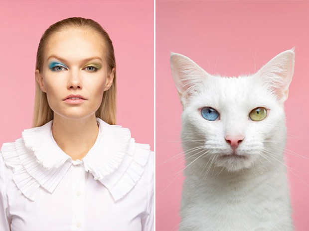 Bộ ảnh chứng minh chủ và thú cưng chung sống càng lâu càng giống nhau - Ảnh 11.