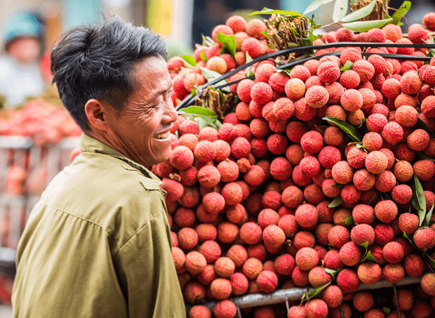 Việt Nam có loạt trái cây đặc sản ngon nức tiếng chỉ được trồng ở vài địa phương, một số loại còn xuất khẩu sang cả nước ngoài - Ảnh 1.