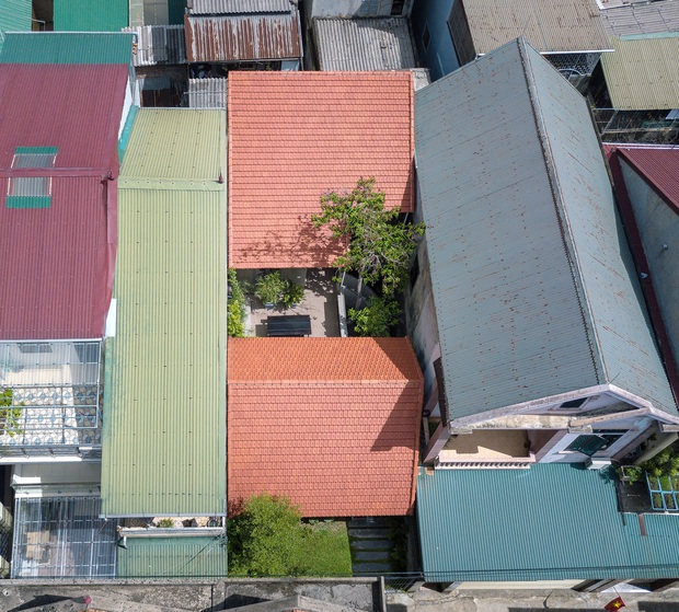 Bước vào ngôi nhà trong ngõ rộng 3m được phủ xanh bằng cây cối, ai cũng thích thú với chiếc cầu thang cực hợp sống ảo - Ảnh 2.