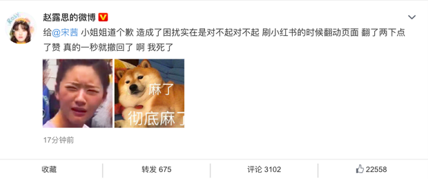 Biến căng đét: Triệu Lộ Tư ấn like bài viết chê tạo hình Nữ thần Kim Ưng của Victoria, phải lên tiếng giải thích - Ảnh 3.