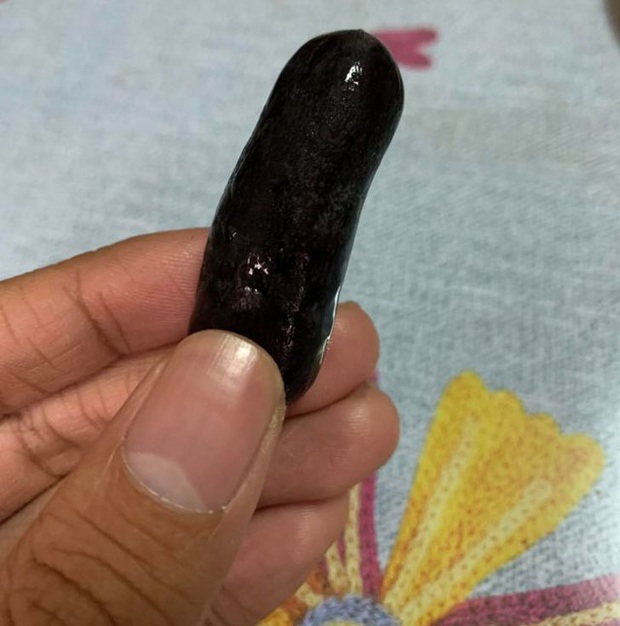 Những lần “mẹ thiên nhiên” đưa chúng ta đi hết từ bất ngờ này sang ngạc nhiên nọ, xem tới đâu bạn sẽ lác mắt tới đó (Phần 2) - Ảnh 23.