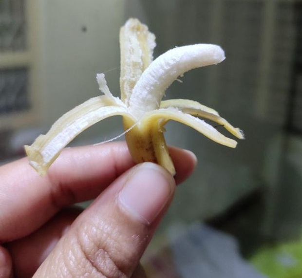 Những lần “mẹ thiên nhiên” đưa chúng ta đi hết từ bất ngờ này sang ngạc nhiên nọ, xem tới đâu bạn sẽ lác mắt tới đó (Phần 2) - Ảnh 5.