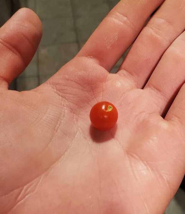 Những lần “mẹ thiên nhiên” đưa chúng ta đi hết từ bất ngờ này sang ngạc nhiên nọ, xem tới đâu bạn sẽ lác mắt tới đó (Phần 2) - Ảnh 9.