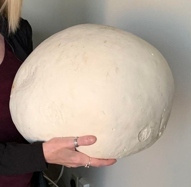 Bộ ảnh chứng minh muôn loài đều có phiên bản mini hoặc khổng lồ của chính nó, đa số trong đó chúng ta chưa thấy bao giờ - Ảnh 10.