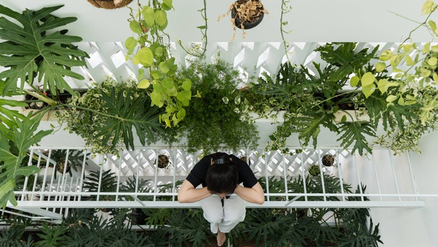 Ngôi nhà ở Huế nhìn bên ngoài cứ tưởng bí bách, tù túng mà bước vào lại có không gian rộng mở đến không ngờ - Ảnh 4.