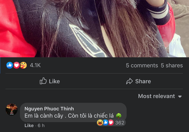 Noo Phước Thịnh quăng thính Mai Phương Thuý giữa đêm khuya, mượn hình ảnh cây và lá để ẩn ý gì đây? - Ảnh 2. Noo Phước Thịnh “quăng thính” cho Mai Phương Thuý giữa đêm khuya, mượn hình ảnh cây và lá để ẩn ý gì đây? Noo Phước Thịnh quăng thính Mai Phương Thuý giữa đêm khuya, mượn hình ảnh cây và lá để ẩn ý gì đây? - Ảnh 2. Noo Phước Thịnh “quăng thính” cho Mai Phương Thuý giữa đêm khuya, mượn hình ảnh cây và lá để ẩn ý gì đây?