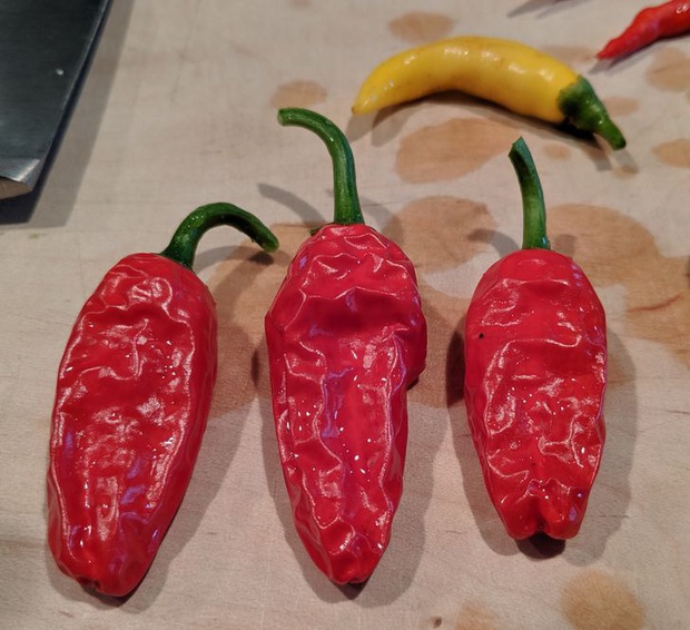 5 loại đồ ăn không bao giờ nên hâm nóng trong lò vi sóng, đó giờ chúng ta làm sai mà không biết - Ảnh 4.