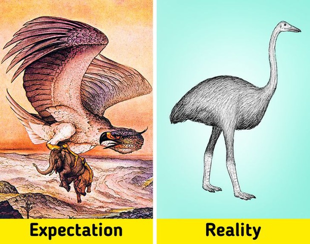 7 sinh vật huyền thoại tưởng chỉ có ở phim ảnh nhưng lại từng làm mưa làm gió Trái Đất trong quá khứ, nàng tiên cá cũng không là ngoại lệ - Ảnh 4.