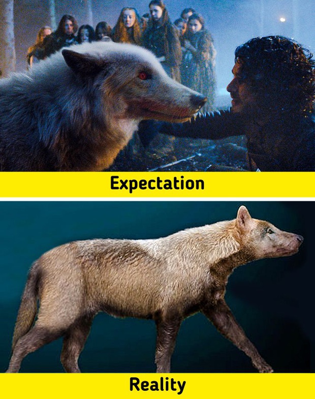 7 sinh vật huyền thoại tưởng chỉ có ở phim ảnh nhưng lại từng làm mưa làm gió Trái Đất trong quá khứ, nàng tiên cá cũng không là ngoại lệ - Ảnh 6.