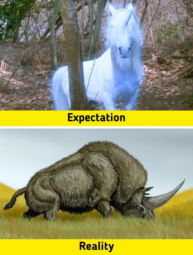 7 sinh vật huyền thoại tưởng chỉ có ở phim ảnh nhưng lại từng làm mưa làm gió Trái Đất trong quá khứ, nàng tiên cá cũng không là ngoại lệ - Ảnh 5.