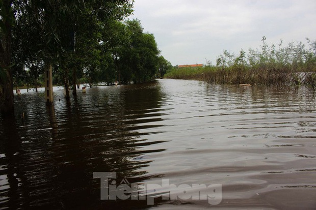 Quảng Trị: Mưa lũ đi qua, xót xa ở lại - Ảnh 15.