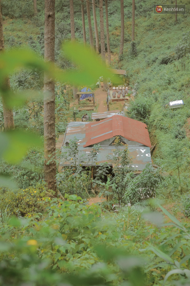 Da Lat has 4 extremely rare "chill spread"-style cafes: Isolated in the middle of the pine forest, every corner of the virtual life is beautiful - Photo 5. Da Lat has 4 extremely rare "chill spread"-style cafes: Isolated in the middle of the pine forest, every corner of the virtual life is beautiful - Photo 5.