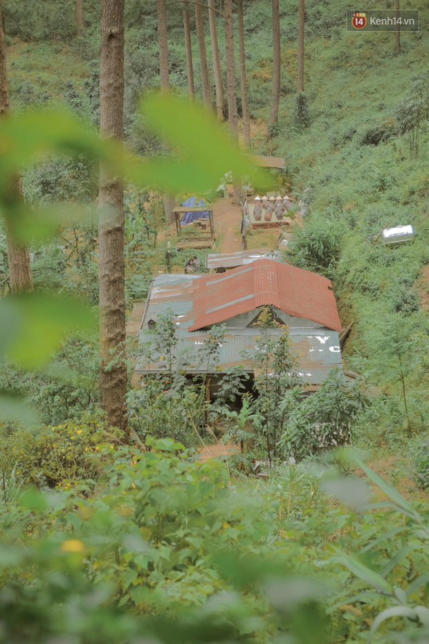 Da Lat has 4 extremely rare "chill spread"-style cafes: Isolated in the middle of the pine forest, every corner of the virtual life is beautiful - Photo 5.