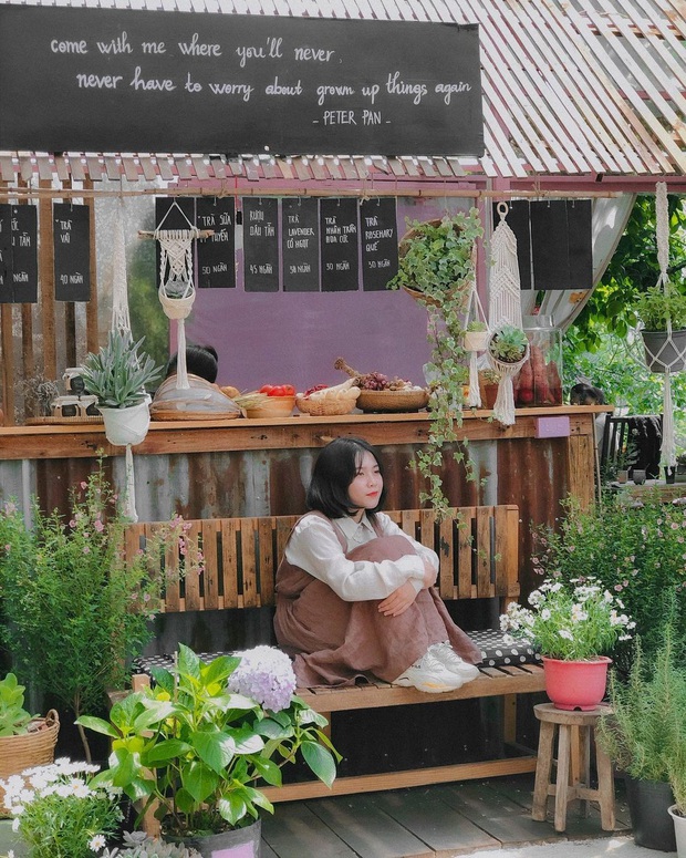 Dalat has 4 “chill spread” cafes that are very rare to know: Located in the middle of a pine forest, every corner of the street is beautiful - Photo 14.