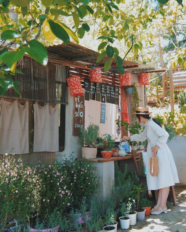 Da Lat has 4 extremely rare "chill spread" style cafes: Isolated in the middle of the pine forest, every corner of the virtual life is beautiful - Photo 11.