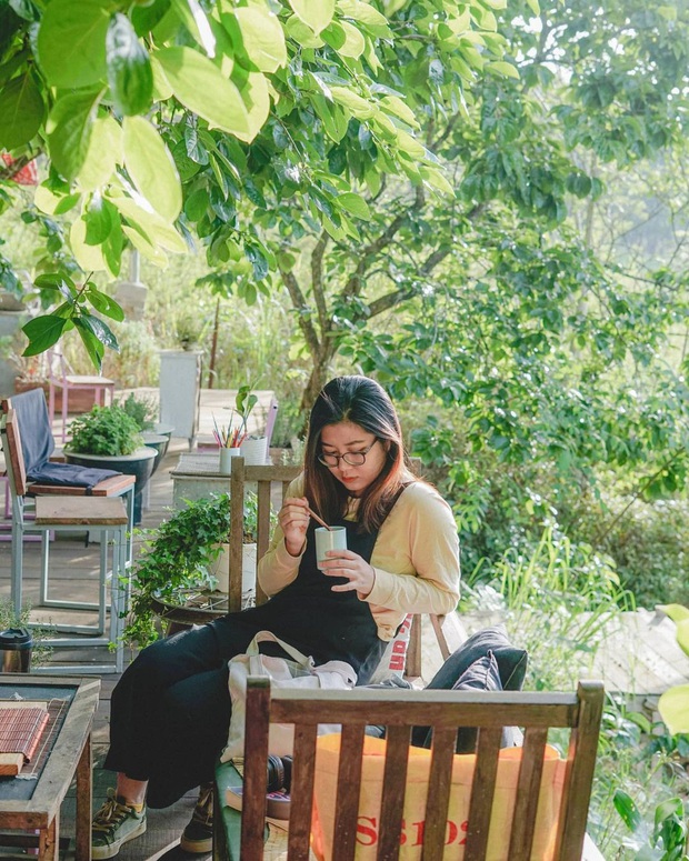 Dalat has 4 cafes in the style of "chill spread" that are extremely rare to know: Located in the middle of a pine forest, every corner of the street is beautiful - Photo 16.