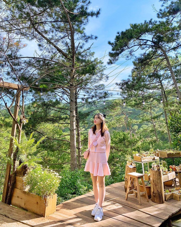 Da Lat has 4 extremely rare "chill spread"-style cafes: Isolated in the middle of the pine forest, every corner of the virtual life is beautiful - Photo 20.