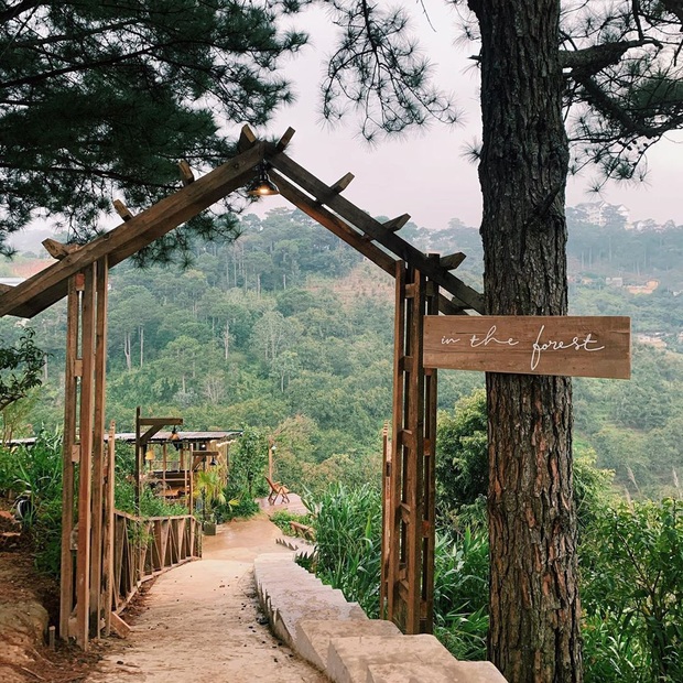 Da Lat has 4 extremely rare "chill spread" style cafes: Isolated in the middle of the pine forest, every corner of the virtual life is beautiful - Photo 28.