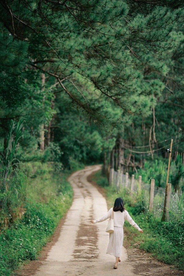 Dalat has 4 cafes in the style of "chill spread" that are extremely rare to know: Located in the middle of a pine forest, every corner of the street is beautiful - Photo 29.