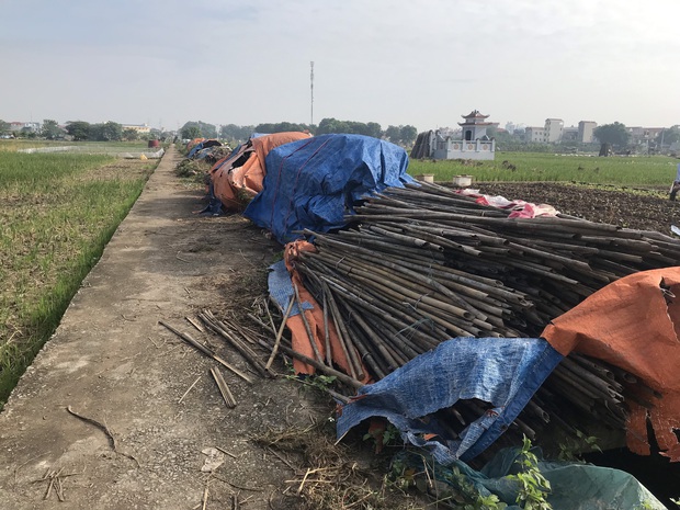 Hàng trăm người dân, công an và thân nhân đang lội sông tìm kiếm nữ sinh Học viện Ngân hàng: “Đoạn đường nữ sinh mất dấu vết đã 3 hôm không có điện” - Ảnh 5.