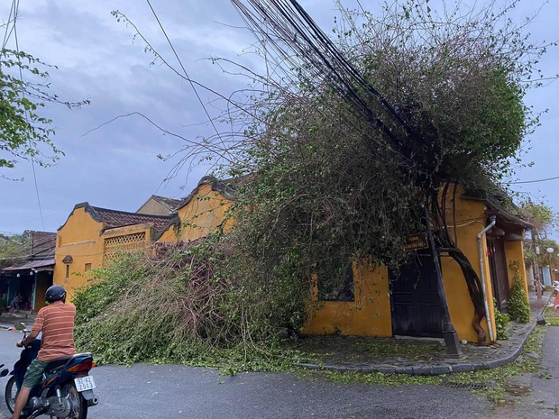 Khung cảnh Hội An xơ xác sau cơn bão số 9, một biểu tượng du lịch bị vùi dập khiến du khách quặn lòng - Ảnh 4.