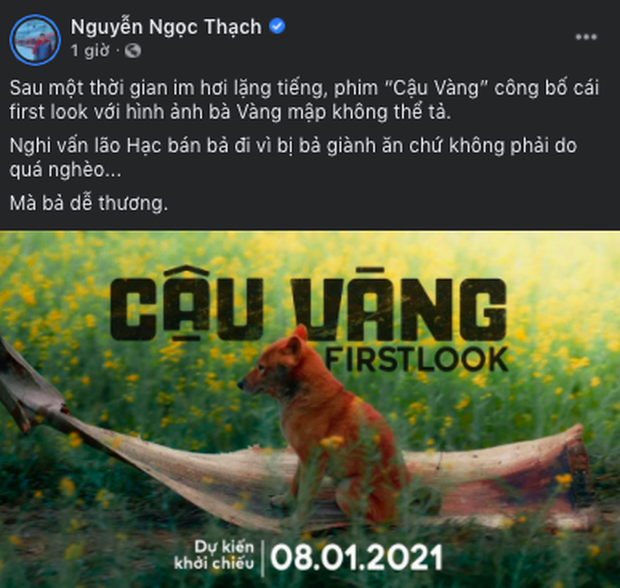 Cậu Vàng tung first look giới thiệu sinh vật lạ: Vẫn là chó Nhật nhưng lông đỏ, hàng siêu hiếm? - Ảnh 9.