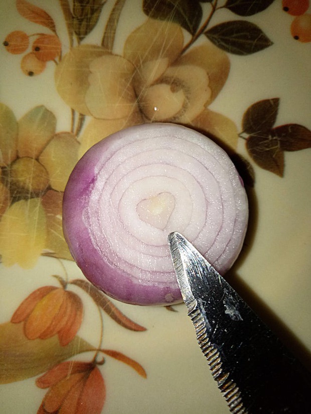 Những lần dân mạng vỡ oà khi phát hiện thứ kỳ lạ xuất hiện trong đồ ăn, bàn tay “mẹ thiên nhiên” quả là thần thánh! - Ảnh 9.