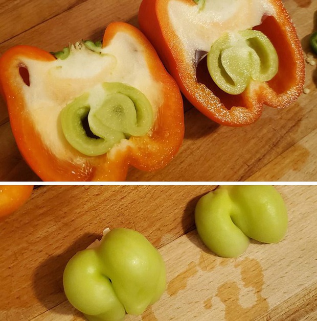 Những lần dân mạng vỡ oà khi phát hiện thứ kỳ lạ xuất hiện trong đồ ăn, bàn tay “mẹ thiên nhiên” quả là thần thánh! - Ảnh 15.