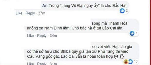 Fan Việt gọi tên ứng cử viên sáng giá vào vai Cậu Vàng: Một trong tứ đại quốc khuyển cách làng Vũ Đại chưa tới 60km? - Ảnh 3.