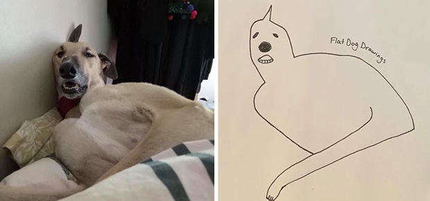 guy draws his dog badly doodles jay cartner 26 5d70b3e68a96f700 16018255718231104937655