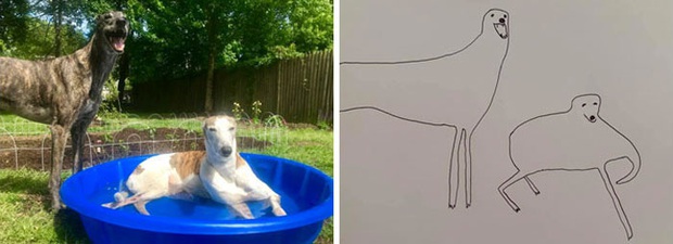 guy draws his dog badly doodles jay cartner 37 16018255718251412824856