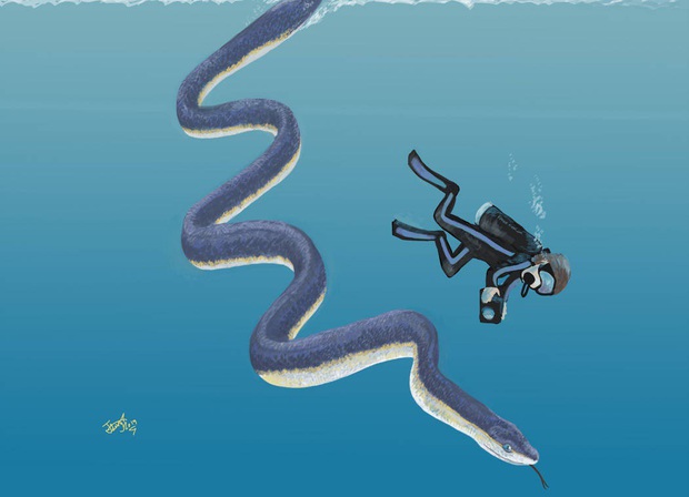 Vì sao 1/3 nhân loại lại sợ rắn và sự thật về những loài bò sát khổng lồ từng xơi tái cá voi và khủng long thời tiền sử - Ảnh 7.