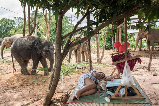 Thực tại tăm tối phía sau ngành du lịch thiên nhiên hoang dã: Những nỗi đau không cất nên lời - Ảnh 13.