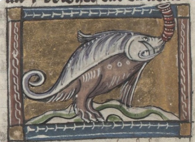 Khi họa sĩ thời Trung Cổ trổ tài vẽ lại động vật qua lời kể, con nào cũng sai trái hết hồn luôn - Ảnh 2.