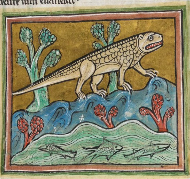 Khi họa sĩ thời Trung Cổ trổ tài vẽ lại động vật qua lời kể, con nào cũng sai trái hết hồn luôn - Ảnh 10.