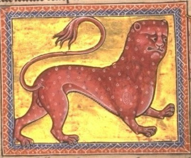 Khi họa sĩ thời Trung Cổ trổ tài vẽ lại động vật qua lời kể, con nào cũng sai trái hết hồn luôn - Ảnh 11.