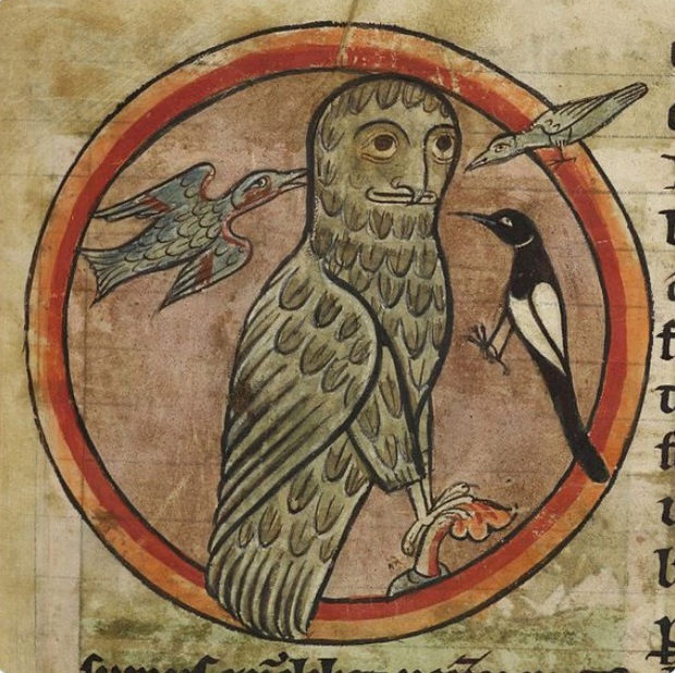 Khi họa sĩ thời Trung Cổ trổ tài vẽ lại động vật qua lời kể, con nào cũng sai trái hết hồn luôn - Ảnh 12.