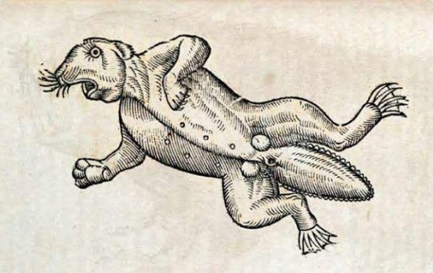 Khi họa sĩ thời Trung Cổ trổ tài vẽ lại động vật qua lời kể, con nào cũng sai trái hết hồn luôn - Ảnh 13.