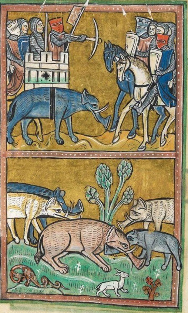 Khi họa sĩ thời Trung Cổ trổ tài vẽ lại động vật qua lời kể, con nào cũng sai trái hết hồn luôn - Ảnh 16.